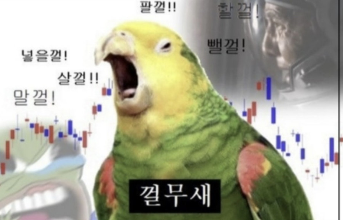 껄무새 — &ldquo;살껄! 팔껄! 넣을껄! 뺄껄!&rdquo;